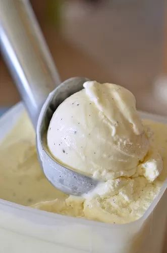 Scoop Of Ice Cream, Bean Ice Cream, Ice Cream Maker Recipes, Frozen Custard, Homemade Ice Cream Recipes, Love Ice Cream, Vanilla Bean Ice Cream, Ice Cream Popsicles, Ice Cream Treats