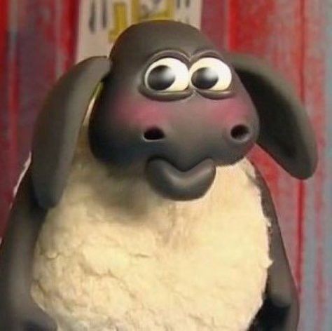 Timmy Shaun The Sheep, Shawn Sheep, Shaun The Sheep Timmy, Timmy The Sheep, Sheep Meme, Shawn The Sheep, Sheep Icon, Timmy Time, Cartoon Sheep