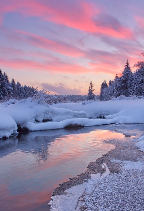 Winter Sky, Frozen Lake, Winter Magic, Winter Scenery, Winter Beauty, Snow Scenes, Winter Wonder, Beautiful View, Winter Photography