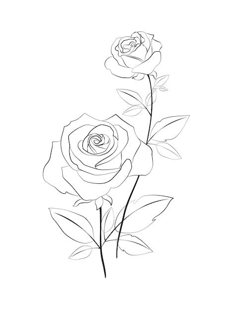 Rose Outline Drawing, Rose Doodle, Rose Drawing Simple, Rose Line Art, Rose Outline, Line Art Flowers, Ink Doodles, Flower Line Drawings, Flower Outline