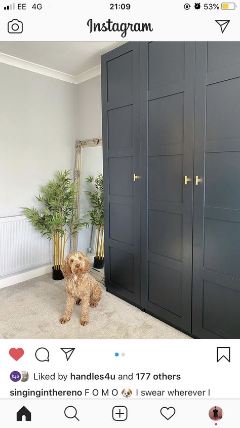 Grey Wardrobe Bedroom, Blue Fitted Wardrobes, Grey Fitted Wardrobes, Grey Carpet Bedroom, Fitted Wardrobes Bedroom, Cream Bedrooms, Grey Wardrobe, Wardrobe Wall, Bedroom Built In Wardrobe