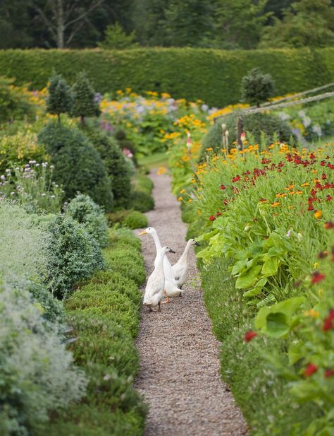 Birkhall: The home of The Prince of Wales on the Balmoral estate, Aberdeenshire - Country Life Landscape Design Front Yard, Front Yard Rock Garden, Landscape Yard, Runner Ducks, Scottish Homes, Yard Landscape, Landscape Landscape, Front House, Rock Garden Landscaping