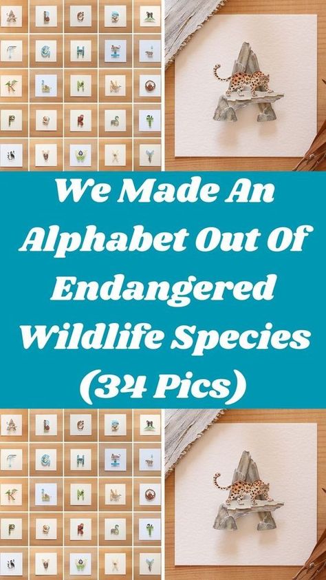 Eastern Lowland Gorilla, Sumatran Elephant, Bornean Orangutan, Fin Whale, Western Lowland Gorilla, Different Alphabets, Paper Cut Artists, Amur Leopard, Endangered Wildlife