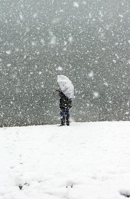 Man on Beach Snow Winters Tafereel, I Love Snow, Winter's Tale, Winter Love, Winter Magic, Winter Scenery, Winter Beauty, Snow Scenes, Snowy Day