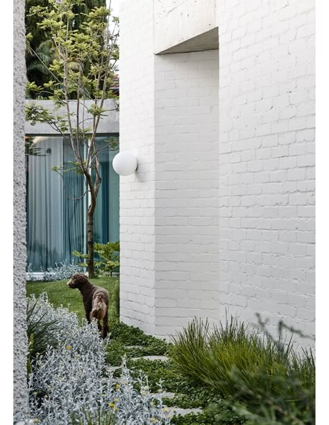 Bagged Brick, Rob Kennon, Bungalow Garden, Light Pathway, Painted Brick Exteriors, White Brick Wall, Timber Battens, California Bungalow, Masonry Wall