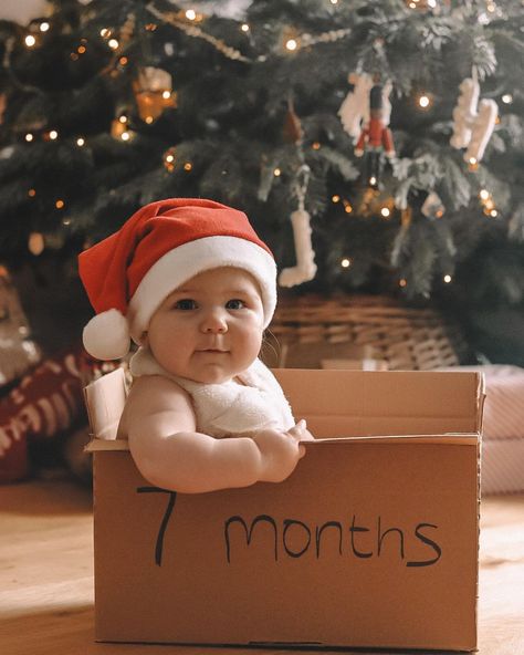 25+ *Ridiculously Cute* Baby's First Christmas Photo Ideas - 2023 First Christmas Photo Ideas, Creative Picture Ideas, Christmas Photo Ideas, Christmas Baby Pictures, Baby Birthday Photoshoot, Baby Milestones Pictures, Baby Christmas Photos, First Christmas Photos, Baby Milestone Photos