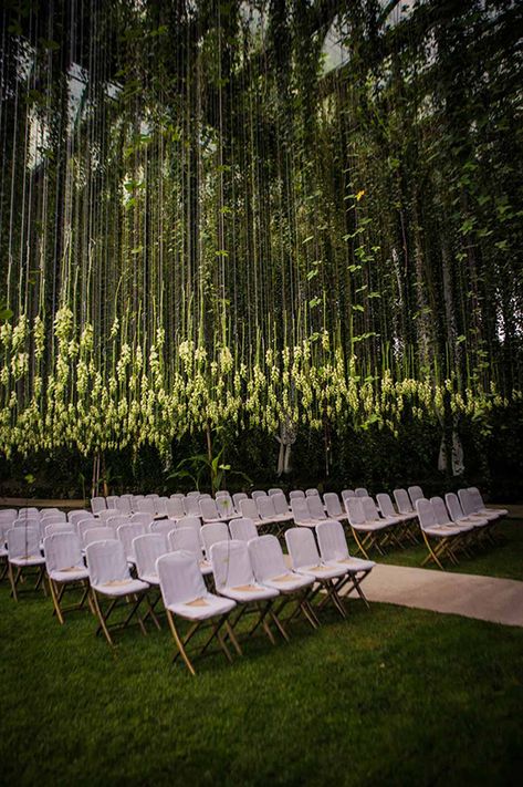 Wedding Ceremony Chairs, Modern Wedding Ceremony, Flowers Hanging, Rustic Wedding Decorations, Wedding Ceremony Ideas, Ceremony Chairs, Wedding Canopy, Beautiful Outdoor Wedding, Wedding Ceremony Flowers