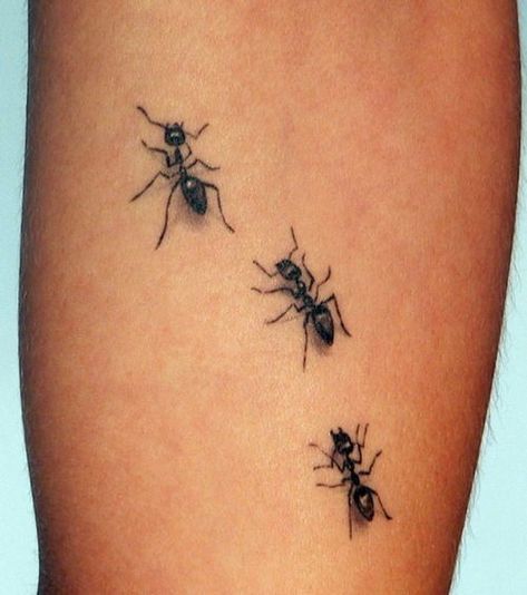 Ants Bracelet Tattoo For Man, Ant Tattoo, Camera Tattoos, Lady Bug Tattoo, Dragonfly Tattoo Design, Polynesian Tattoos, Bug Tattoo, Insect Tattoo, Geometric Tattoos