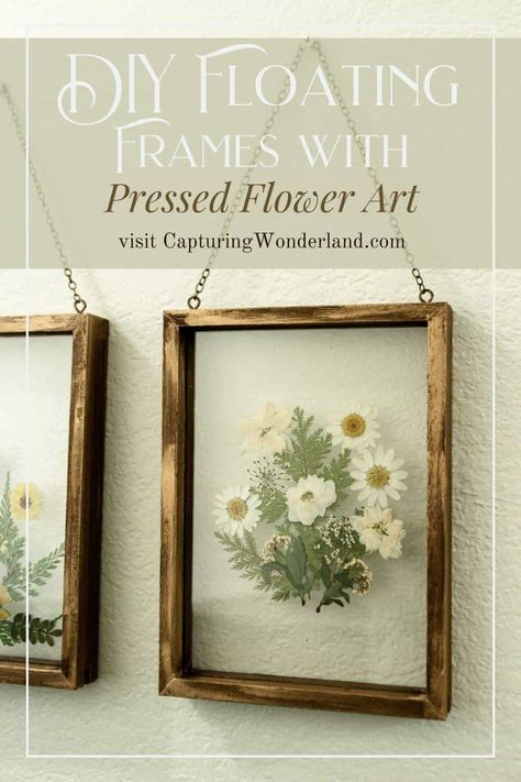 Flower Pressed Picture Frame, Dried Flowers Pressed Frame, Pressed Flower Art Modge Podge, Display Pressed Flowers, Floating Frame Flowers, How To Frame Pressed Flowers Diy, Pressed Plant Frames, Press And Frame Flowers, Frame Dried Flowers Diy