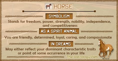 Horse Meaning and Symbolism | The Astrology Web Horse Meaning, Horse Symbolism, Horse Spirit Animal, Animal Totem Spirit Guides, Spirit Animal Meaning, Animal Meanings, Spirit Animal Totem, Animal Spirit Guide, Totem Animals