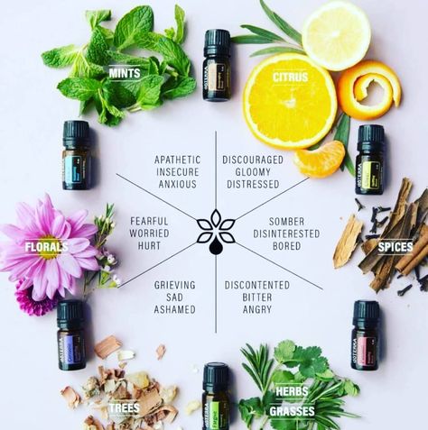 I love this portrayal of doTERRA essential oils like this. First it's really pretty! 😊 but I actually even learned something about myself… Essential Oil Use Chart Doterra Forgive, Doterra Motivate, Doterra Essential Oils Recipes, Doterra Oils, Doterra Essential Oils, Diffuser Blends, Essential Oil Recipes, Oil Recipes, Pure Essential Oils