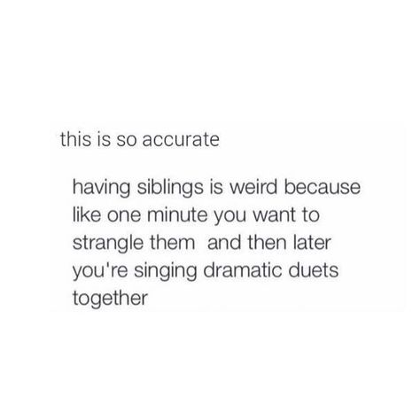 Me and my sister are so like this, except from she chased me with a badminton racket...😑 Sibling Rivalry Quotes, Siblings Day Quotes, Sibling Quotes, National Sibling Day, Wonder Twins, Half Siblings, Sibling Rivalry, Sister Quotes, I Love You Quotes