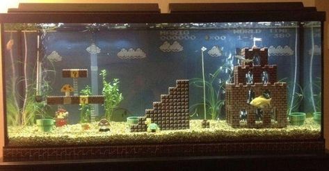 22 Epically Geeky Animal Habitats Built By Their Owners Homemade Aquarium, Cool Fish Tank Decorations, Fish Tank Themes, Diy Fish Tank, Cool Fish Tanks, Fish Tank Design, Fresh Water Fish Tank, Turtle Tank, Cool Fish