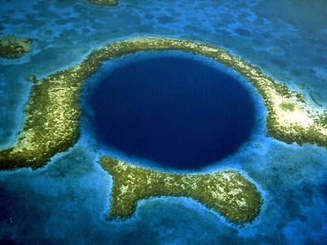 10 Fascinating Facts About the Blue Hole in Belize Mariana Trench Ocean, Blue Hole Belize, Mariana Trench, Great Blue Hole, Belize City, Blue Hole, Belize Travel, Louisiana State University, Water Adventure