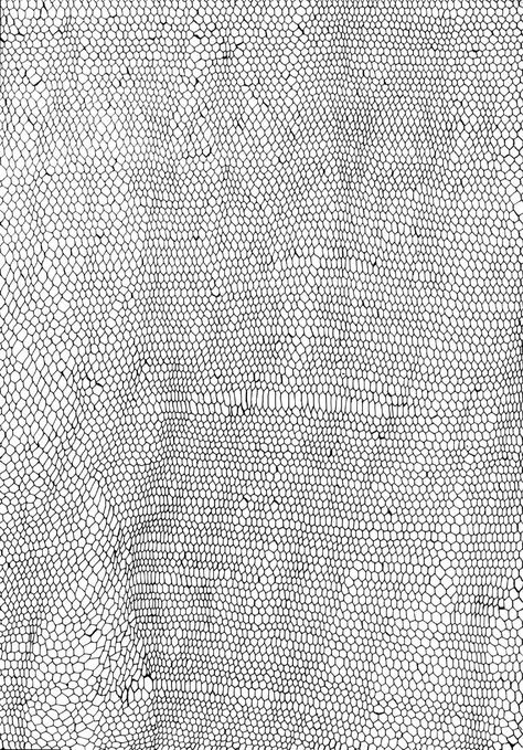 3d Texture, Illustration Inspiration, Color Textures, Pen Drawing, Textile Patterns, Ink Drawing, Textures Patterns, Pattern Art, Honeycomb