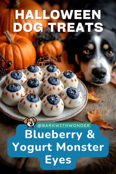 Make these Homemade Blueberry & Yogurt Monster Eyes for your dog this Halloween! A nutritious and spooky treat that’s easy to make. #barkwithwonder #homemadedogtreats #homemadedogfood #halloweendogtreats #healthytreats #dogrecipes Halloween Dog Treats, Dog Treats Homemade, Pet Treats Recipes, Easy Dog Treat Recipes, Dog Treats Homemade Easy, Blueberry Yogurt, Healthy Halloween Treats, Easy Dog Treats, Monster Eyes