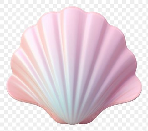 Seashell Png, Shell Png, Shell Illustration, Mermaid Png, Sketching Inspiration, Pink Seashell, Shapes Images, Mermaid Shell, Mermaid Theme Party