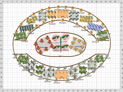 Garden Plan - Slatin Herb Garden Tea Garden Layout, Herb Garden Plan, Medicinal Herbs Garden, Window Plants, Types Of Herbs, Garden Plan, Garden Types, Bee Balm, Attract Butterflies