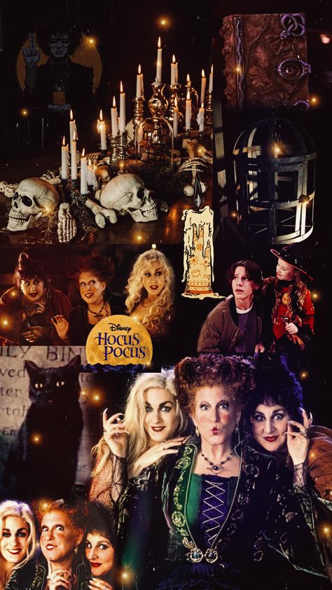 Disney halloween aesthetic wallpaper Hocus Pocus Wallpaper, Halloween Wallpaper Iphone Backgrounds, Background Halloween, Halloween Wallpaper Backgrounds, Halloween Hocus Pocus, Halloween Wallpaper Cute, Cute Fall Wallpaper, Iphone Wallpaper Fall, Halloween Wallpaper Iphone