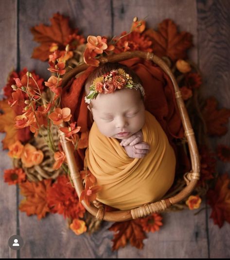 Pumpkin Newborn Photoshoot, 2 Month Fall Photoshoot, Fall Newborn Picture Ideas, Newborn Girl Fall Photoshooting Ideas, Halloween Photoshoot Newborn, Spooky Newborn Pictures, September Newborn Photoshoot, Newborn October Photoshoot, Fall Newborn Photoshoot Ideas