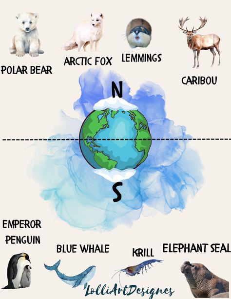 Polar regions of the Antarctica, the North Pole and the South Pole Arctic Animals Activites North Pole Activities For Kids, Polar Bear Worksheets, Antarctica Animals, Penguin Worksheets, Arctic Animals Activities, North Pole Animals, Animals Worksheet, Word Tracing, Antarctic Animals