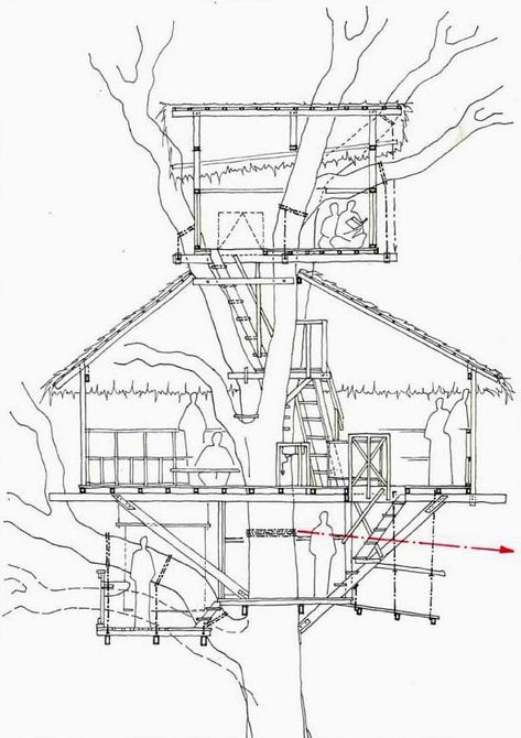 Treetop Architecture - Gibbon Experience Woods Hangout Spot, Treehouse Construction, Building A Small House, Cabin Small, Building A Treehouse, Tree House Plans, Tree House Diy, Tree House Designs, Architecture Design Sketch