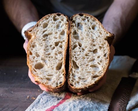 Sourdough Recipe, Homemade Sourdough Bread, Protein Bread, God Mad, Sourdough Baking, Sourdough Bread Recipe, Delicious Bread, Starters Recipes, Sourdough Recipes