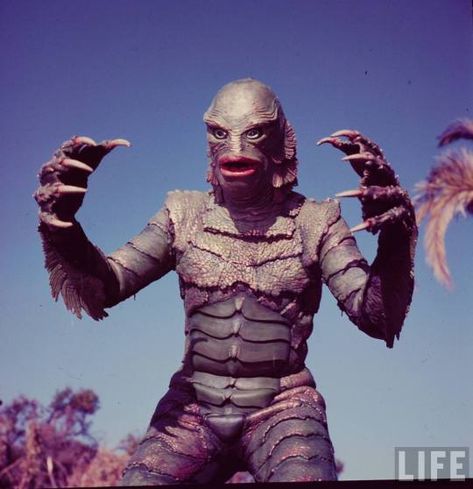 thevaultofretroscifi Arnold Movies, Life Magazine Photos, Creature From The Black Lagoon, The Black Lagoon, The Creeper, Famous Monsters, Horror Monsters, Scary Monsters, Classic Horror Movies