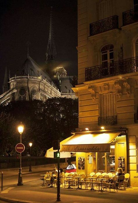 France Cafe At Night, French Aesthetics, Paris Pics, Paris Chic, Paris Cafe, Living In Paris, Paris City, France Paris, Paris Travel