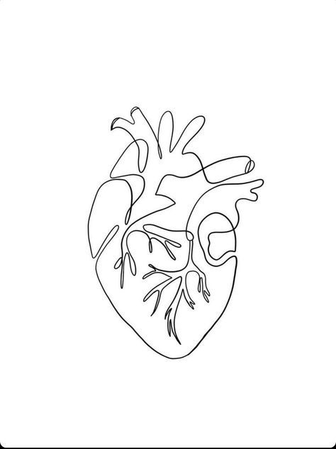 Anatomical Heart Line Art, Anatomical Heart Line Tattoo, Anatomical Heart Line Drawing, One Line Heart Tattoo, Medical Line Art, Anatomic Heart Drawing, Small Anatomical Heart Tattoo, Heart Tattoo Anatomical, One Line Drawing Heart