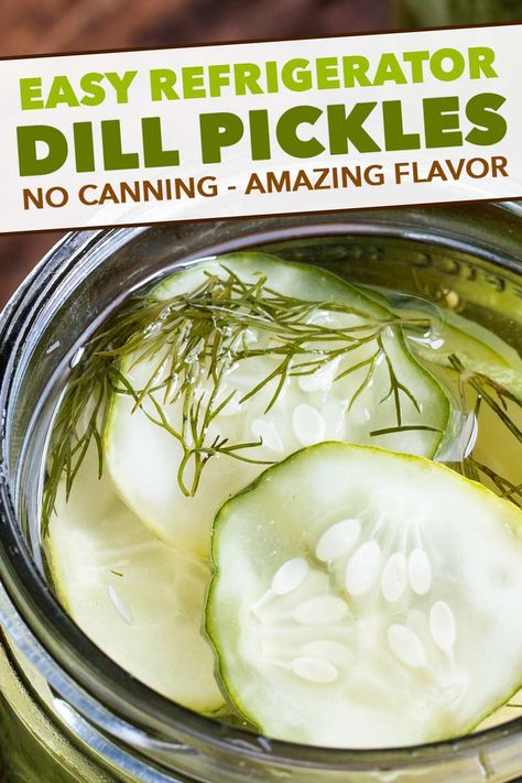 Homemade Refrigerator Pickles, Refrigerator Dill Pickles, Cheesecake Strawberries, Quick Pickle Recipe, Refrigerator Pickles Dill, Refrigerator Pickle Recipes, Homemade Pickles Dill, Dill Pickle Recipe, Pickled Cucumbers