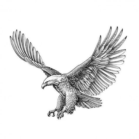 Eagle Drawings, Hawk Tattoos, Eagle Back Tattoo, Eagle Shoulder Tattoo, Eagle Wing Tattoos, Hawk Tattoo, Eagle Drawing, Tattoo Inspiration Men, Cool Chest Tattoos