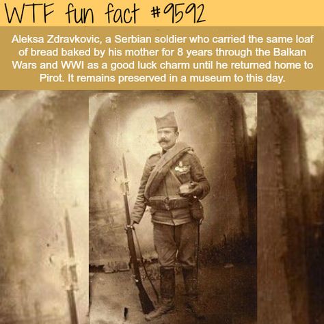 Weird History Facts, Country Facts, Facts Funny, History Facts Interesting, Strange History, Intresting Facts, History Timeline, Historical Quotes, Unbelievable Facts