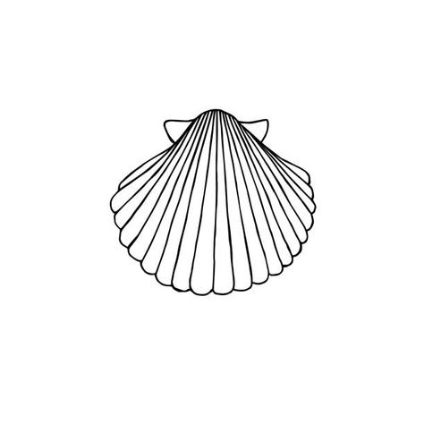 Clam Tattoo Simple, Shell Outline Tattoo, Scallop Tattoo, Shell Line Drawing, Seashell Stencil, Clam Tattoo, Shell Drawing, Stick Poke Tattoo, Shell Tattoos