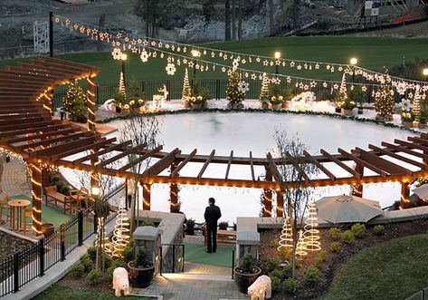 Backyard Rink, Outdoor Pavillion, Outdoor Skating Rink, Ice Hockey Rink, Outdoor Rink, Outdoor Ice Skating, Ice Skating Rink, Roller Rink, Urban Landscape Design