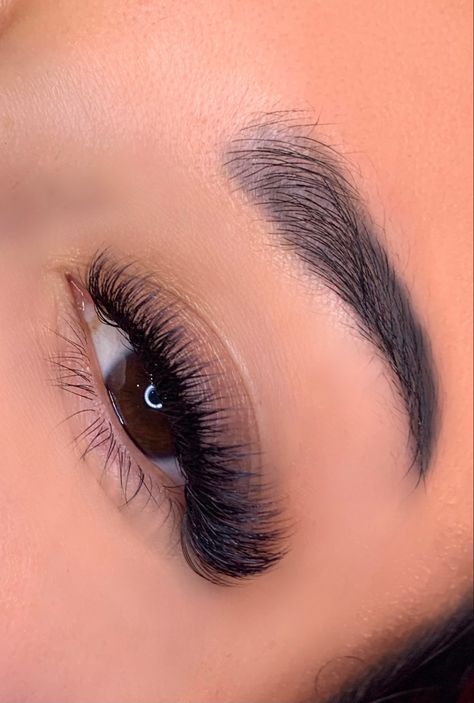 Cateye Volume Lash Extensions, Volume Extensions Lashes, Lash Volume Extensions, Full Eyelash Extensions Volume, Cateye Eyelashes Extensions Volume, Volume Cateye Extensions, Eyelash Extensions Full Volume, Cute Lashes Extensions, Cateye Volume Eyelash Extensions