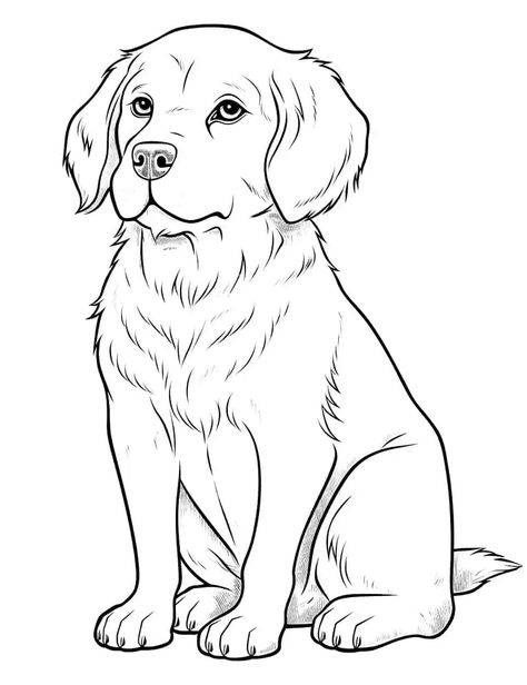 Coloring Pages Dogs Free Printable, Printable Puppy Coloring Pages, Dog And Puppy Drawing, Dog Sketch Cartoon, Dog Drawing Outline, Dog For Coloring, Dog Colouring Pages, How To Draw A Dog, Dog Pictures To Color