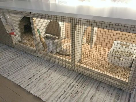 I got myself a bunny and was looking for a rabbit house. I didn't find anything interesting so I had the idea of making one myself using the Ikea Kallax. Pet Necessities, Diy Bunny Cage, Indoor Rabbit House, Ikea Cat, Diy Rabbit Cage, Indoor Rabbit Cage, Rabbit Enclosure, Bunny Hutch, Rabbit House