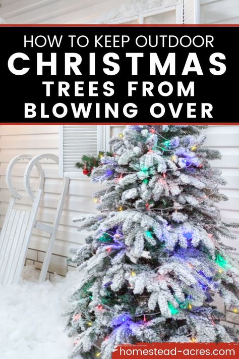 How to keep outdoor Christmas trees from blowing over with tips for securing it well. It’s fun to decorate your porch and yard for Christmas with real or artificial Christmas trees but no fun when they keep blowing over! #Christmas #Christmastips #Christmastrees #Christmasdecorating #homesetadacres Fake Christmas Trees Outside, Outdoor Christmas Trees On Porch, Decorating Outdoor Christmas Trees, Porch Trees Christmas, Outdoor Christmas Tree On Porch, Outdoor Christmas Trees, Outdoor Xmas Tree, Porch Christmas Tree, Decorating Your Front Porch