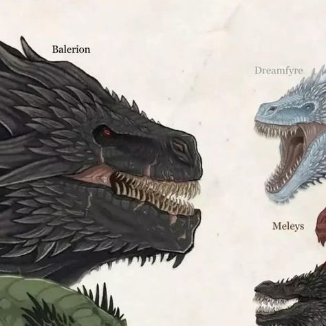 Game of Thrones & House of the Dragon on Instagram: "Size comparison of the dragons in GOT and HOTD 🔥

Which one is your favorite dragon? 🐉" Toothless Illustration, Dragon Age Origins, House Of The Dragon, Dragon Games, Game Of Thrones Houses, Mythological Creatures, Toothless, Size Comparison, Which One Are You