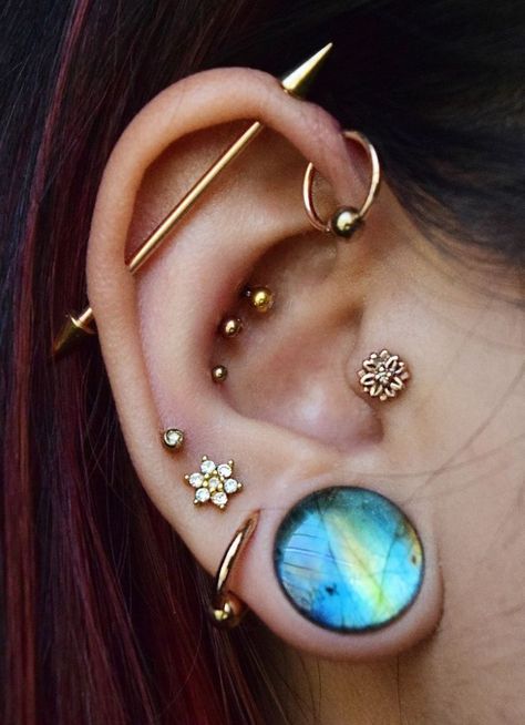 Ear With Piercings, Piercing Facial, Industrial Piercings, Conch Piercings, Smiley Piercing, Septum Piercings, Cool Ear Piercings, Pretty Ear Piercings, Cool Piercings