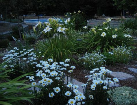 White garden at night White Flower Arrangements, Moon Garden, Night Garden, White Gardens, Moon Flower, Pretty Plants, Fragrant Flowers, Garden Planning, Backyard Garden