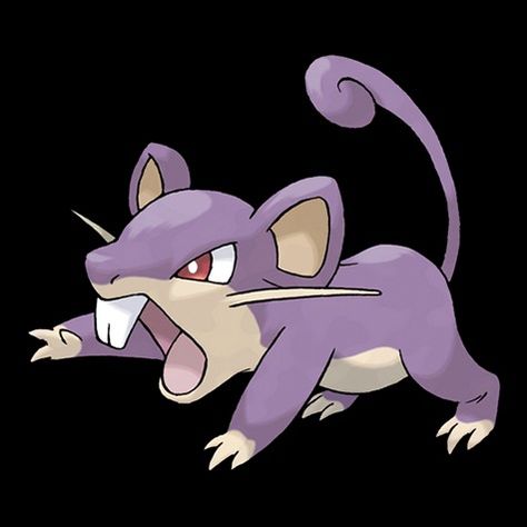 #19 Rattata Ash Misty Brock, All 151 Pokemon, Indigo League, Ash Misty, Mouse Pokemon, 151 Pokemon, Beverly Hills Chihuahua, Mega Evolution, Pokemon Pokedex