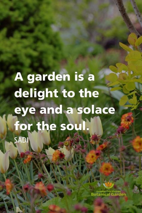 Garden Quotes Signs, Gardening Tips And Tricks, Gardening Quotes, Garden Works, Gardening Flowers, Garden Quotes, Garden Journal, Garden Club, Flower Quotes