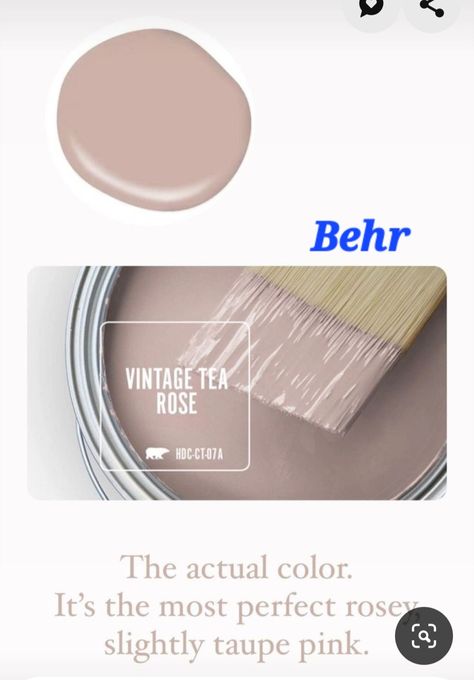 Rosy Beige Paint Color, Behr Ballet Rose, Dusty Pink Behr Paint, Benjamin Moore Rose Accent, Vintage Tea Rose Paint Behr Living Room, Dust Bunny Paint Color, Muddy Blush Paint Color, Muted Rose Paint, Behr Dusty Rose Paint Colors