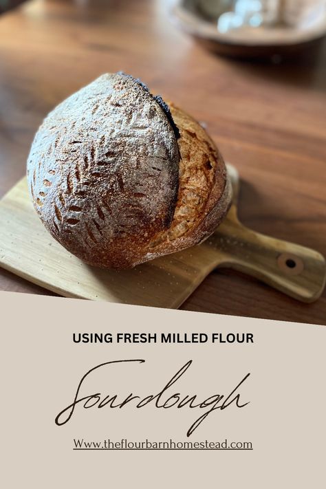 Sourdough Bread Recipe that utilizes freshly milled flour and fits easily into your weekly routine. Fresh Milled Flour Sourdough Bread Recipe, Sourdough With Fresh Milled Flour, Sourdough Bread With Fresh Milled Flour, Freshly Milled Sourdough Bread, Milled Flour Bread Recipe, Fresh Milled Flour Sourdough, Fresh Milled Sourdough, Fresh Milled Flour Sourdough Recipes, Fresh Milled Sourdough Bread