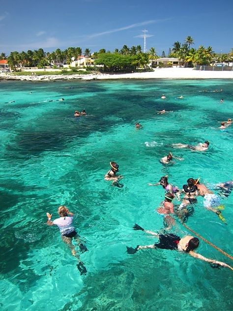 Complete Aruba Snorkeling Guide - Recommended Beaches & Tours Aruba Beaches Map, Aruba Snorkeling, Aruba Trip, Aruba Honeymoon, Southern Caribbean Cruise, Aruba Vacation, Aruba Travel, Oranjestad, Baby Beach