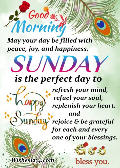 Blessed Sunday Greetings, Sunday Encouragement Quotes, Sunday Greetings And Blessings, Happy Sunday Quotes Happy Sunday Quotes Positivity, Motivational Sunday Quotes, Sunday Morning Quotes Inspirational Life, Sunday Morning Blessings Scriptures, Happy Good Morning Quotes Inspirational, Blessed Sunday Quotes Faith