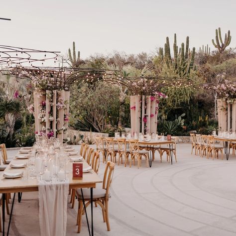 Bailey and Brian celebrated their love with a lively twist on traditional Mexican elements! They exchanged their vows surrounded by stunning agaves and cacti, and during the cocktail hour, guests enioved mini mezcal bottles, that doubled as seating cards, while the mariachis played. The perfect toast to kick off an enchanting evening! Bride+Groom: @baylea_dub @_its.dolphh_ Venue: @acre.wedding @acreresort Rentals: @yayarentals Florals: @floral.dreams.by.vero.romo Photo: @franktesistecoph... Mexican Elements, Acre Wedding, Seating Cards, Traditional Mexican, Agaves, Cocktail Hour, Bride Groom, Toast, Twist