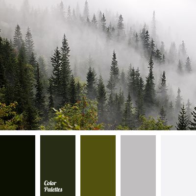 color matching, dark green, gray color, misty forest colors, mountains fog color, olive, pale gray, shades of green, winter color combination, winter fog color, winter palette 2016. Flat Bedroom, Color Palette Ideas, Forest Color, Palette Ideas, Green Color Schemes, Green Colour Palette, Fitness Design, Color Balance, Kitchen Living Room